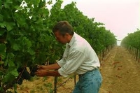 Gary Farrell, winemaker and co-owner of Alysian Wines
